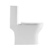 Унитаз-моноблок BelBagno Lounge BB8618CPR-MN/SC