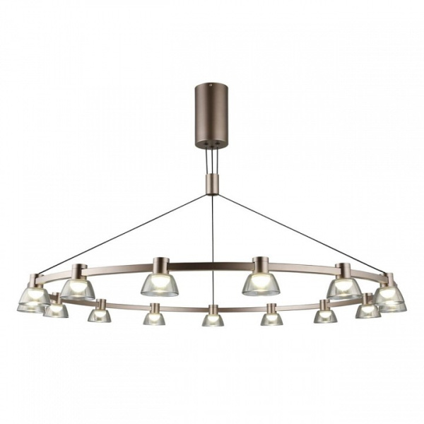 Подвесная люстра Aployt Rezeda APL.788.03.15