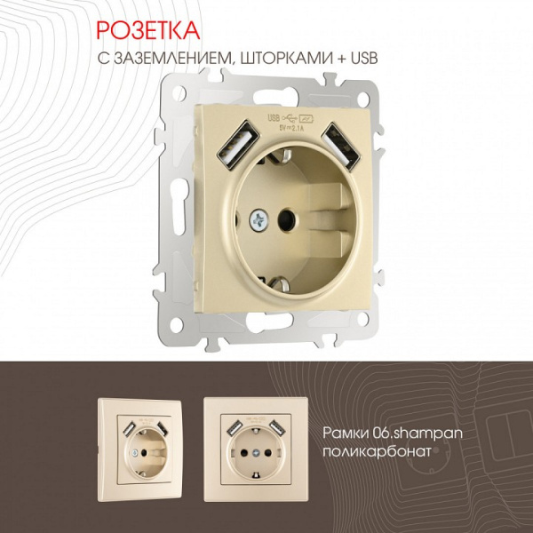 Розетка с заземлением и со шторкой и 2хUSB без рамки Arte Milano am-206 206.47-1.shampan