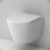 Подвесной унитаз AM.PM Sense C741701SC с крышкой-сиденьем