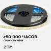 Лента светодиодная OGM  LSE-261