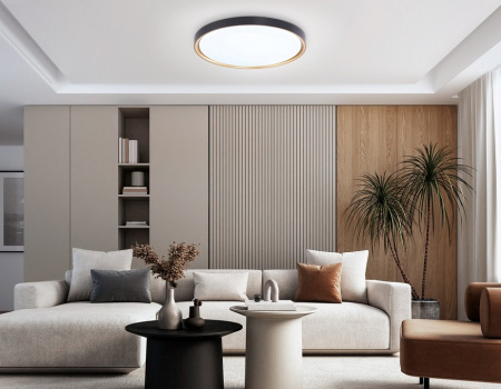 Накладной светильник Ambrella Light FZ FZ1249