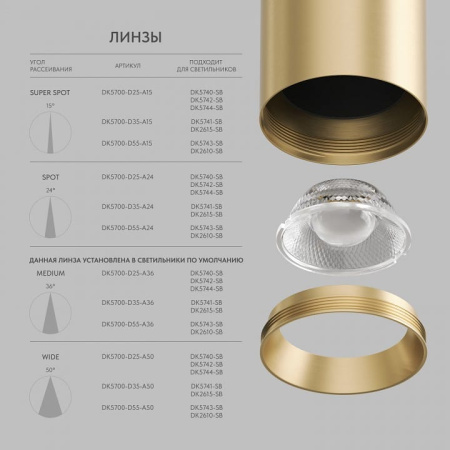 Накладной светильник Denkirs SHINE SPOT DK5743-SB