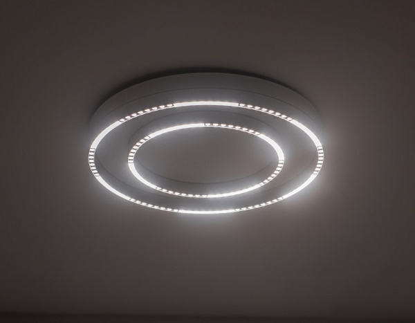 Накладной светильник Ambrella Light FL FL5821