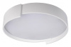 Накладной светильник Loft it Coin 10200 White