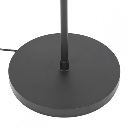 Торшер Citilux LOONG CL810031
