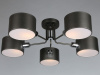 Люстра на штанге Omnilux Liserà OML-54507-05