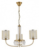 Подвесная люстра EVOLUCE Ellisse SLE1119-303-03