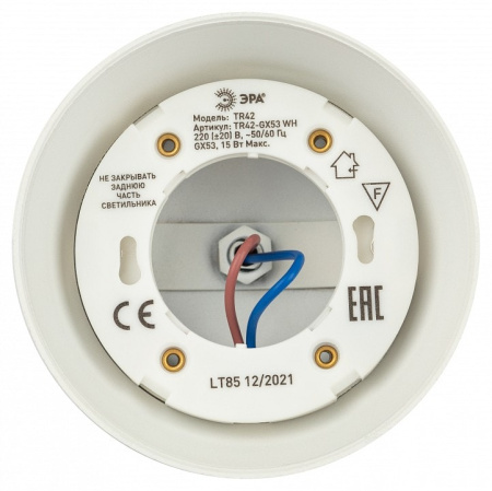 Светильник на штанге Эра TR42-GX53 WH