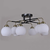 Потолочная люстра ILLUMICO  IL0252-8CSQ-79 BK AB