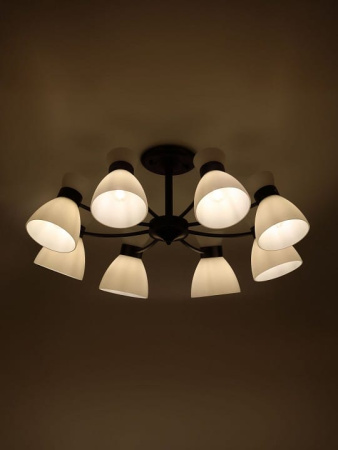 Люстра на штанге Rivoli Aemilia 9185-308