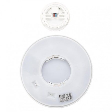 Накладной светильник Citilux Etalon CL750240