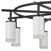 Люстра на штанге Lightstar Rullo LR7183680