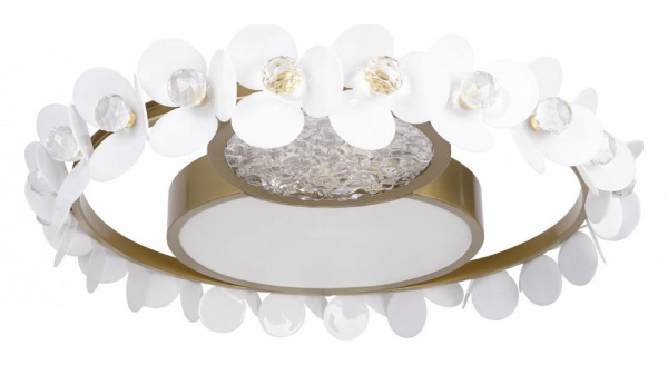 Накладной светильник Loft it Bride 10174