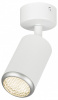 Спот Эра  OL55 WH/SL