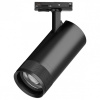 Светильник на штанге Lightstar Canno Pro C4307SS