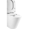 Чаша напольного безободкового унитаза BelBagno Flay-R BB007CPR