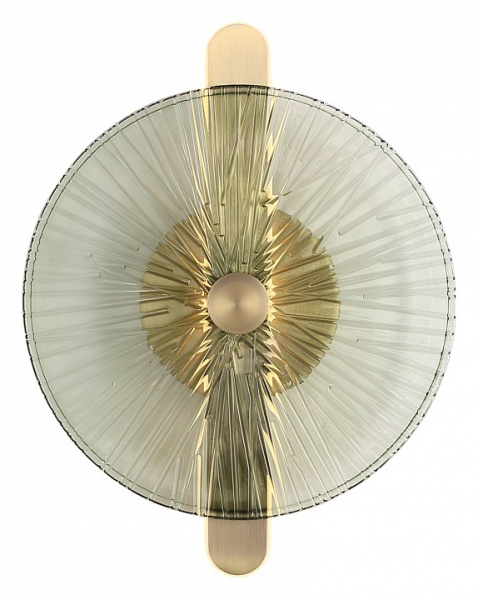 Накладной светильник ST-Luce WASI SL6141.321.01