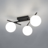 Потолочная люстра Citilux Dorsy CL223132
