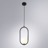 Подвесной светильник Arte Lamp Matisse A7745SP-1BK