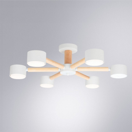 Потолочная люстра Arte Lamp TENDA A1624PL-6WH