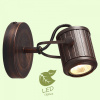 Спот Lussole Клифтон GRLSP-9131