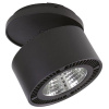 Спот Lightstar Forte Inca 213847