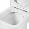 Чаша унитаза BelBagno Aurora BB8604CPR/SC с сиденьем