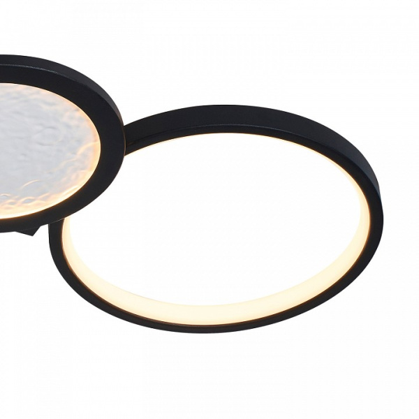 Накладной светильник Favourite Neumel 4700-4C