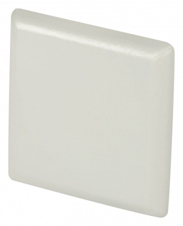 Заглушка для профиля Maytoni ALM009EC