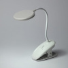 Настольная лампа офисная Эра  NLED-513-6W-W