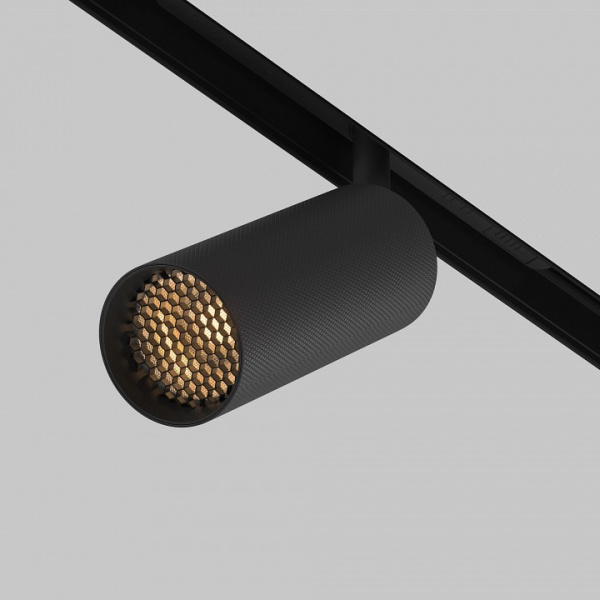 Светильник на штанге Maytoni Technical Мастер TR097-2-12W2.7K-M-BB