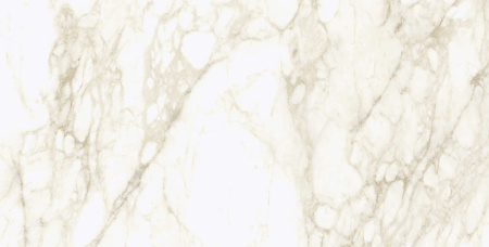 Coliseum Michelangelo Керамогранит Warm 60x120 натуральный