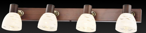 Спот TopLight Shayla TL3730Y-04BB