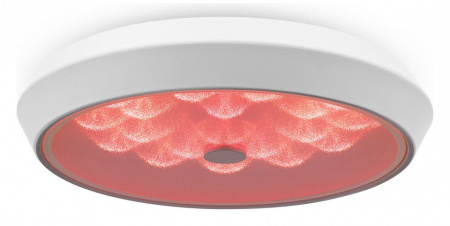 Накладной светильник Freya Cells FR10012CL-L24W