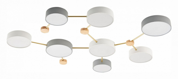 Накладной светильник EVOLUCE Dossena SLE600102-08