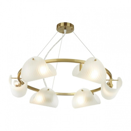 Подвесная люстра Lumion Fioro 6571/6