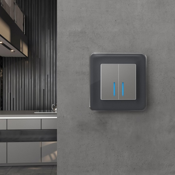 Рамка на 1 пост Werkel Elite (графит стекло) W0012440