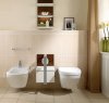 Биде подвесное Villeroy&Boch Lifetime 547500R1