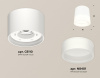 Накладной светильник Ambrella Light XS XS8110001