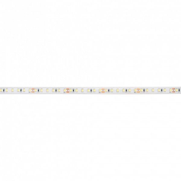 Лента светодиодная Jazzway PLS PRO PLS PRO 2835/120-24V - 6000K IP65 5m
