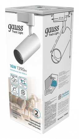 Светильник на штанге Gauss TR TR066