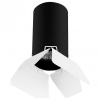 Накладной светильник Lightstar Rullo R437436