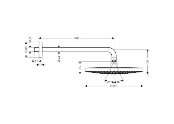 Верхний душ hansgrohe Raindance Select S 27378400