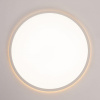 Накладной светильник Citilux Norma CL748400