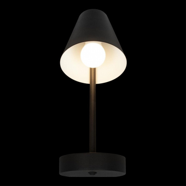Бра Loft it Shelf 10216/1W Black