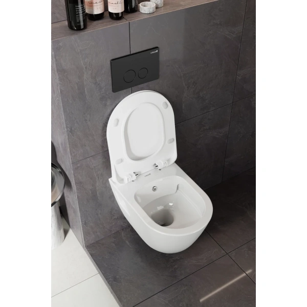 Унитаз подвесной Creavit Terra TP329-00CB00E-0000 безободковый, с функцией биде, белый