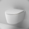 Подвесной унитаз AM.PM Func C8F1700MWSC с крышкой-сиденьем