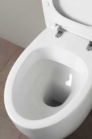 Подвесной унитаз Simas Bormio BR18bi