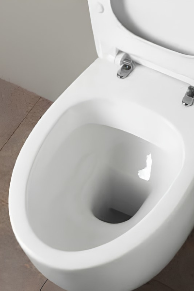 Подвесной унитаз Simas Bormio BR18bi